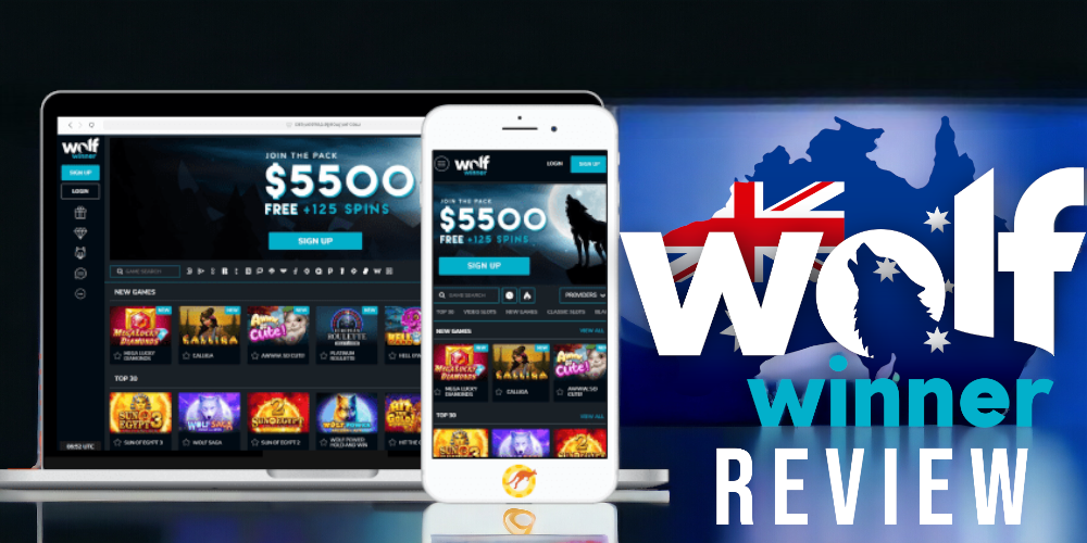 Wolf Winner Casino Review: Official website, Casino, sports and Bonuses